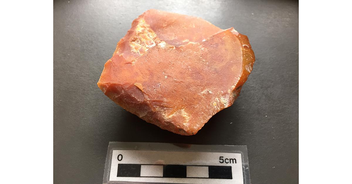 This stone tool could push back the date which we believe humans first arrived on the continent. (Photo courtesy of Pat O&#8217;Grady)