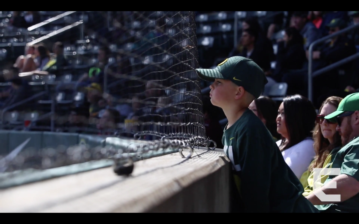 Video: At bat with Oregon Baseball