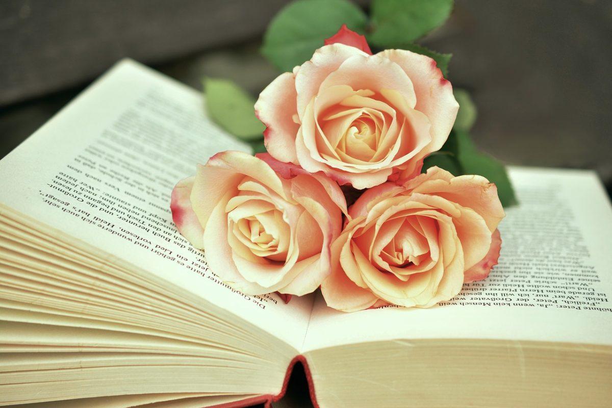 Valentine&#8217;s Day traditions have kindled a Catalonian saying, &#8220;A rose for love and a book forever.&#8221; (creative commons)