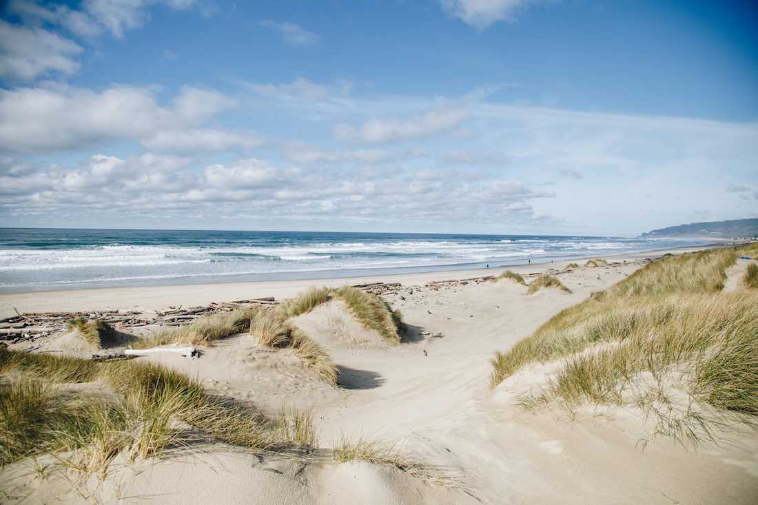 Dunes at the North Jetty beach near Florence, Ore. (Sarah Northrop/Emerald)