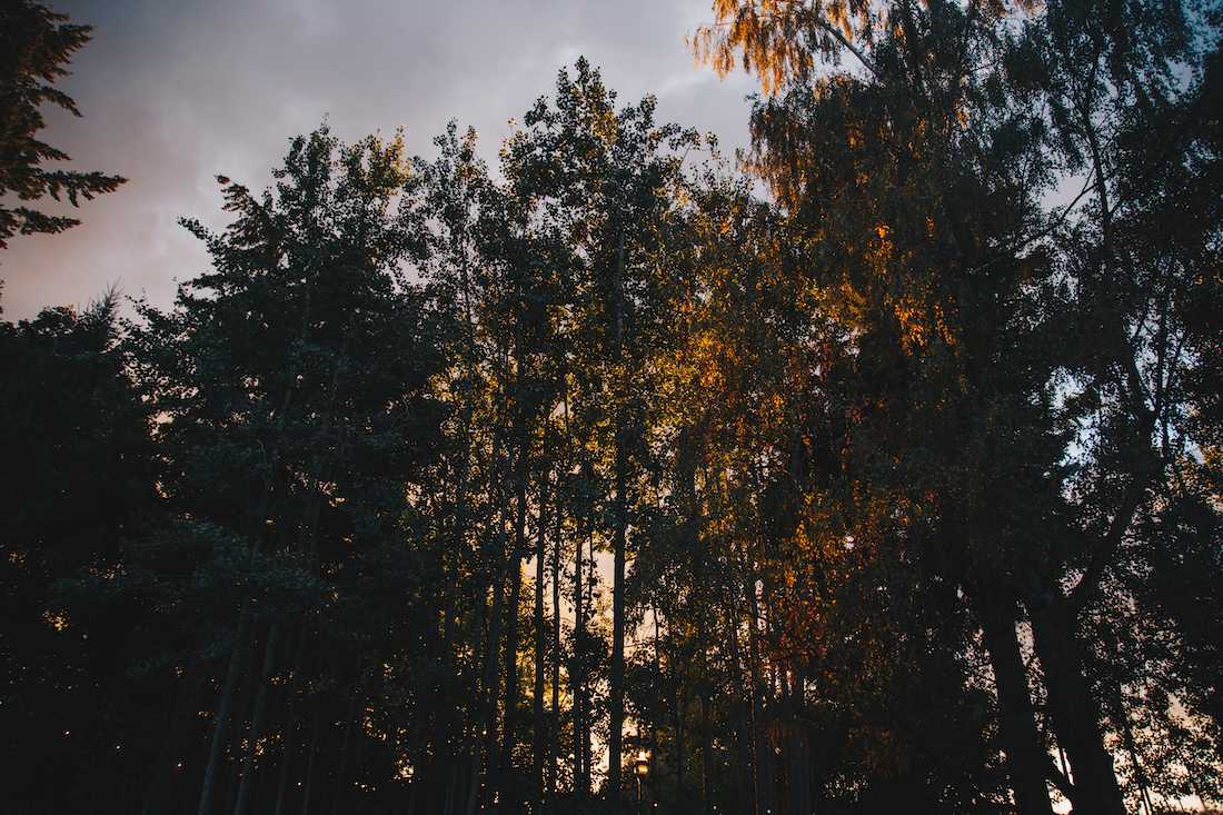 Autumn weather rolls into the outdoor setting of the Edgefield amphitheater, preluding the last show of the summer. Ben Howard closes out the summer with a chilling performance at the Edgefield in Troutdale, Ore. on Sept. 22, 2018. (Sarah Northrop/Emerald)