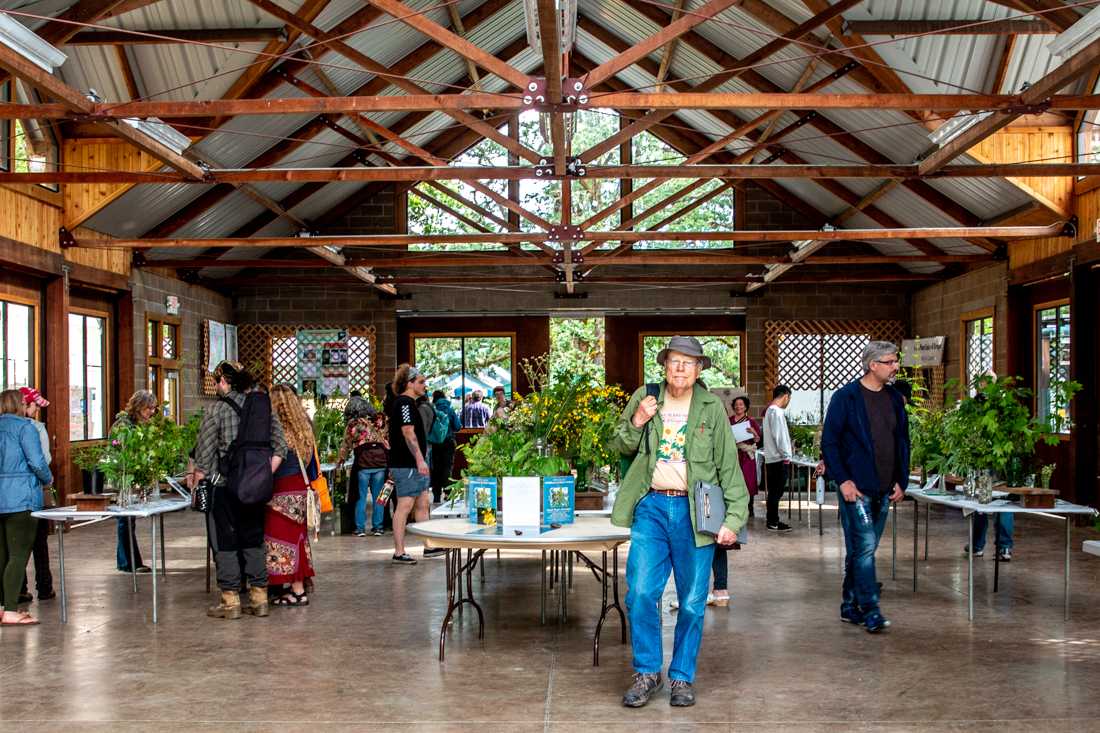 Over 300 wildflower species are on exhibit for festival goers to view during the event. The 40th annual Wildflower and Music Festival takes place at Mount Pisgah Arboretum in Lane County, Ore. on May 19, 2019. (Maddie Knight/Emerald)