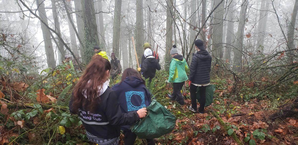 <p>Volunteers gathered to remove invasive ivy from the park at the monthly Friends of Hendricks Park Saturday Morning Work Party on Saturday, Dec. 7, 2019. (Carrington Powell/Emerald)</p>