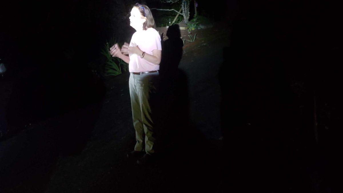 Eugene mayor Lucy Vinis met with protesters in her driveway to discuss the city's role in supporting people of color in the community. (James Croxton/Daily Emerald)