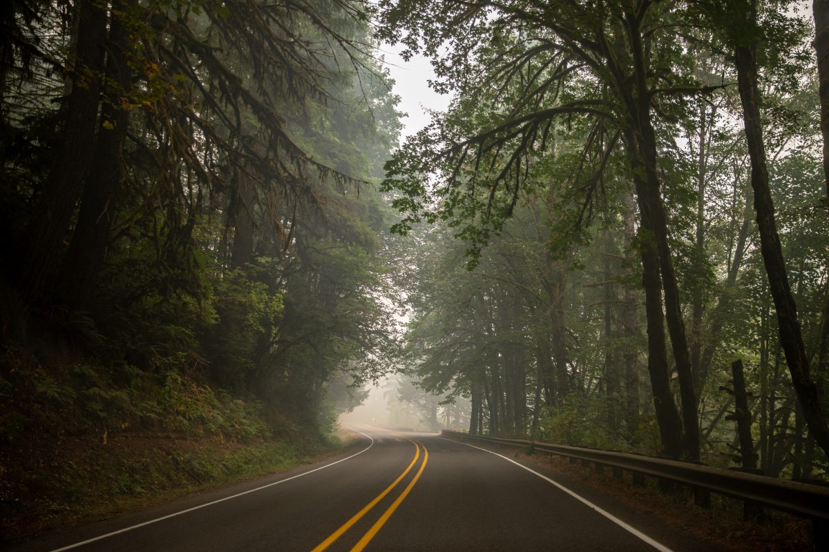 A road that runs along the perimeter of the Holiday Farm Fire zone in Marcola, Ore. is heavy with smoke. The Holiday Farm Fire, one of the largest current wildfires in Oregon, began on Sep. 7, 2020 and has burned through multiple Oregon cities in over one week. The fire is still burning through Lane County, Ore. on Sep. 16, 2020. (Maddie Knight/Emerald)