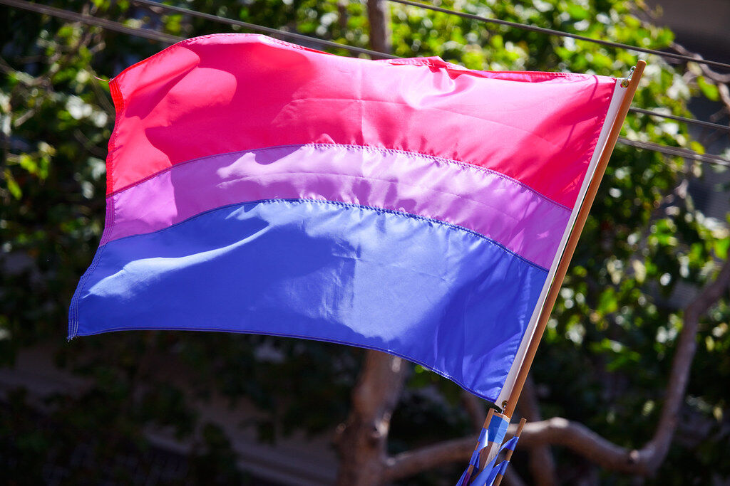 "The bisexual pride flag"&#160;by&#160;salanki&#160;is licensed under&#160;CC BY 2.0.