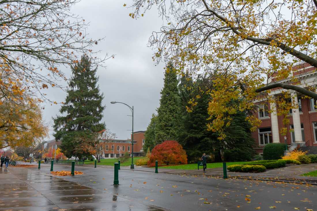 The changing colors of tree leaves on the University of Oregon campus signifies to students that the warm weather is fading and Fall is in full swing. Even in the colder rainy weather, there are still plenty of activities for students to do to keep themselves occupied. (Serei Hendrie/Emerald)