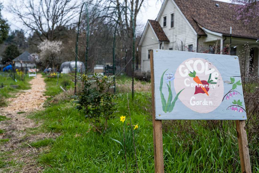 In the cold Winter months, there is not much growing at the Grove Community Garden, but with Spring around the corner, Eugenians can expect a lush garden in the coming months. The Grove Garden is a student-run, community space created to bring those together who have a passion for gardening. (Emerald/Ian Enger)