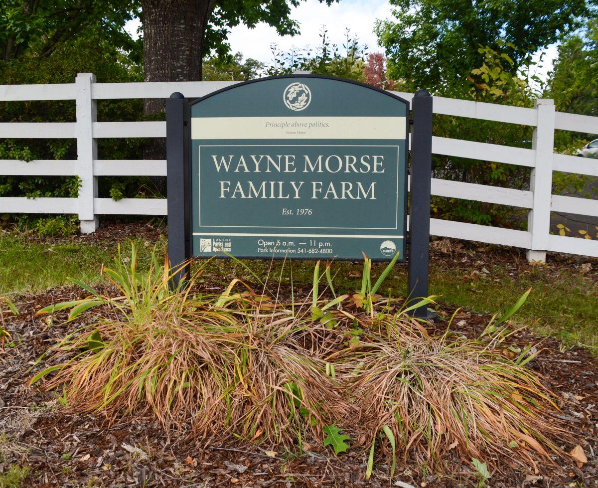 The Morse Family Farm is located in a forested neighborhood. The fuels reduction projects aim to prevent fires in these areas. (Kai Kanzer/Emerald)