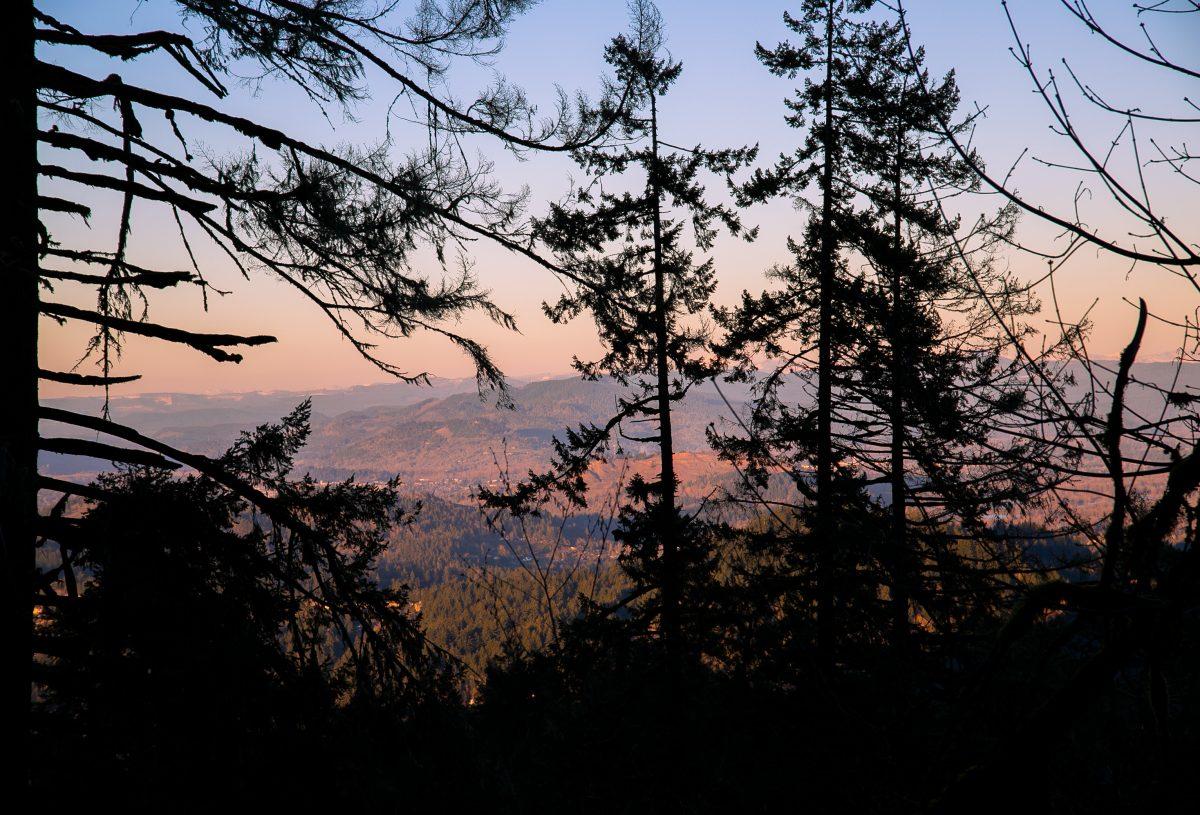 Spencer's Butte trail offers many vantage points of the Willamette Valley during the hike to the peak. This view can be seen from about three quarters of the way up. Eugene offers countless hiking spots that can be a fun way to get out and about in nature anytime of year. (Liam Sherry/Emerald)