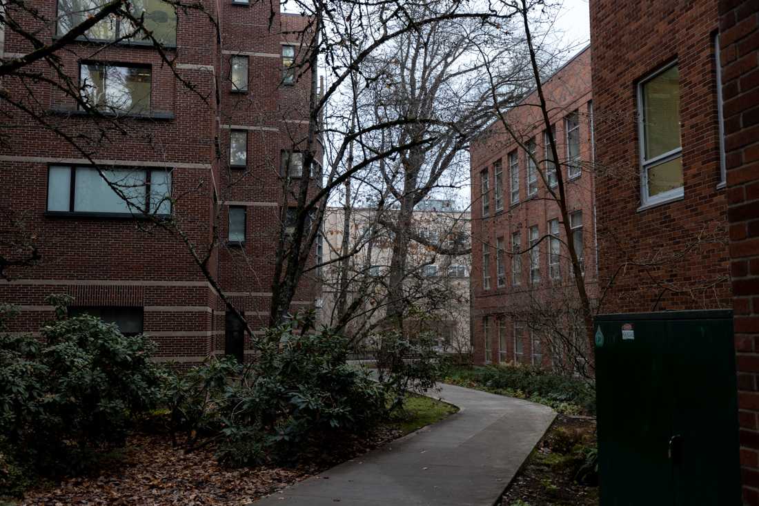 <p>The pathway between Lawrence and Allen Hall is covered by barren trees and frost covered leaves. (Kemper Flood/ Emerald)</p>