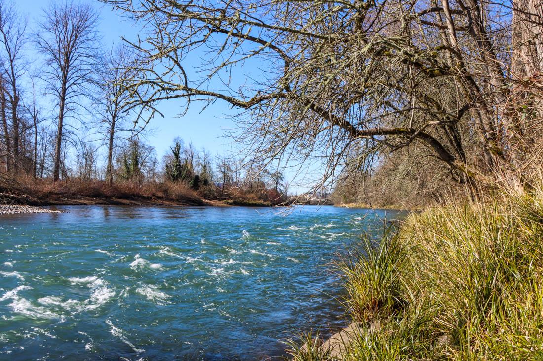 The Willamette River runs through the Ruth Bascom Riverbank Path System and several routes lead directly to the rushing water. (Mary Grosswendt/Emerald)