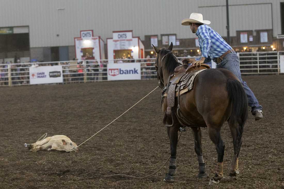 A rodeo contestant participates in the Tie Down Roping event on July 3, 2024. The Eugene Pro Rodeo kicked off its first day with the theme of "Tough Enough to Wear Pink," in support of cancer awareness. (Alex Hernandez/Emerald)