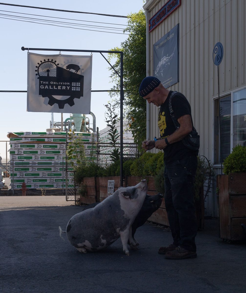 Jud Turner feeds his two pigs at his studio next to The Oblivion Gallery, unveiled August 3. Turner said that the studio provided him and his wife, Renee Mahni, a place for people to experience their sculptures. They plan to host a guest artist in the gallery the first Saturday of each month. (Miles Cull/Emerald)