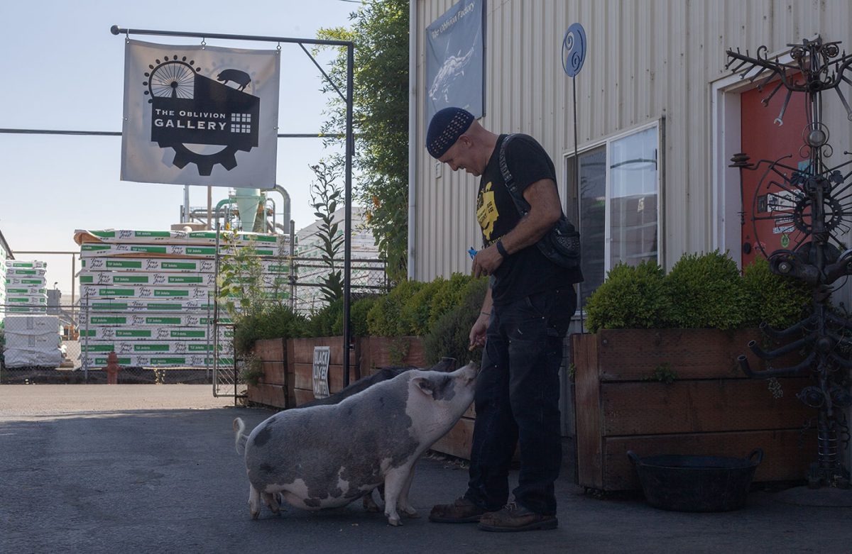 Jud Turner feeds his two pigs at his studio next to The Oblivion Gallery, unveiled August 3. Turner said that the studio provided him and his wife, Renee Mahni, a place for people to experience their sculptures. They plan to host a guest artist in the gallery the first Saturday of each month. (Miles Cull/Emerald)