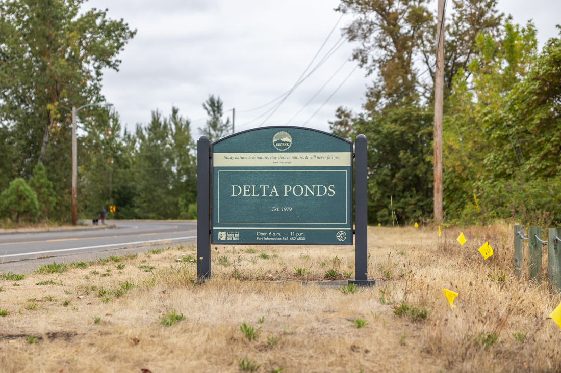 Delta Ponds is a Eugene Parks and Recreation 150-acre waterway filled with ponds, wetlands, and channels. Recent construction has extended the trail to the north. (Molly McPherson/Emerald)