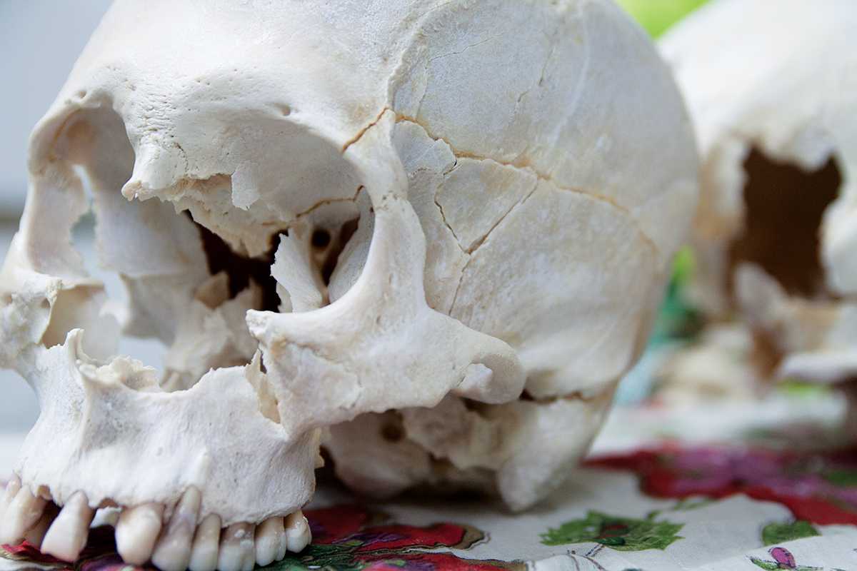 Oregon&#8217;s head forensic anthropologist uncovers the secrets of the deceased by analyzing their remains.