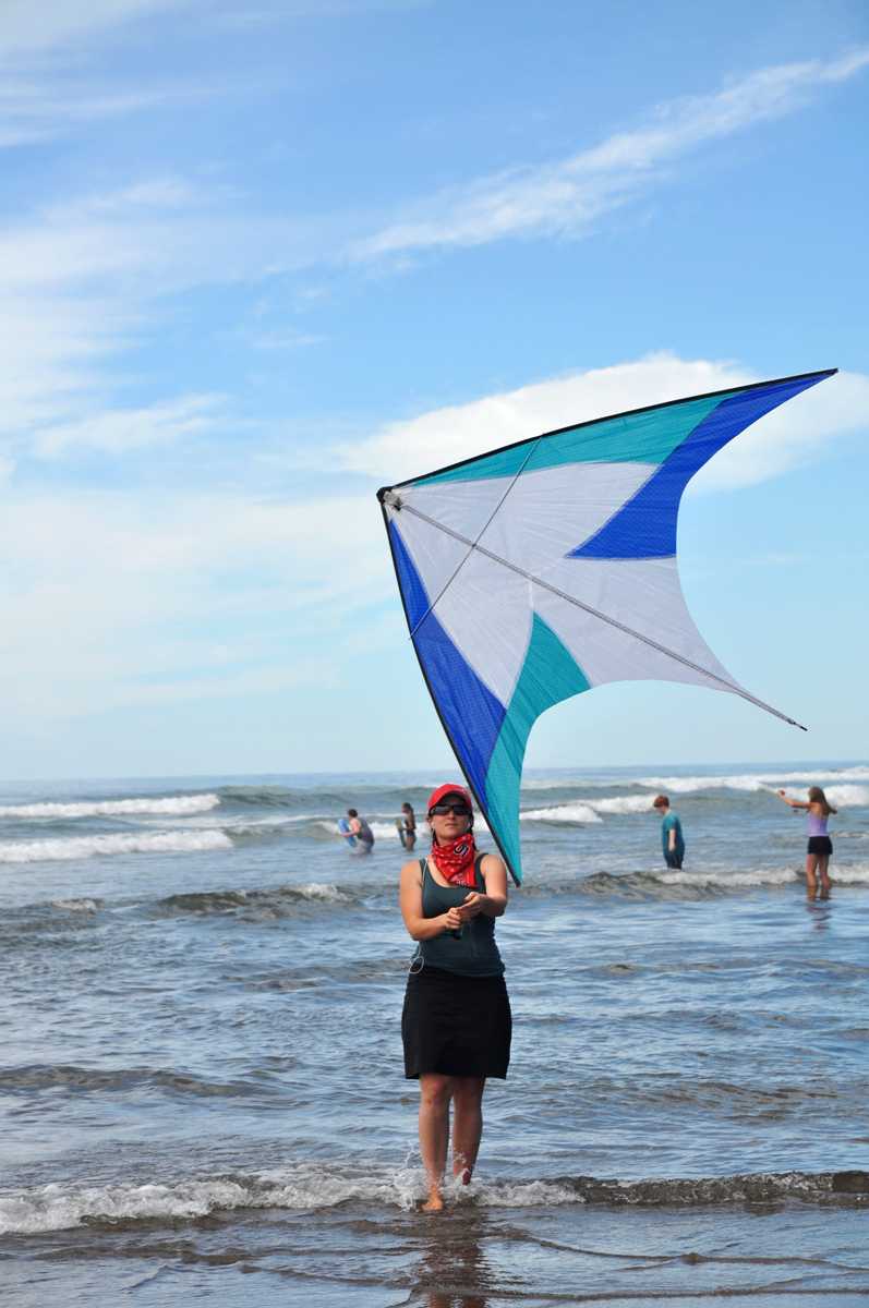 The delta is designed to be an eye-catching kite, able to float at high angles through very light wind. These specifications make it a popular choice among kite enthusiasts.