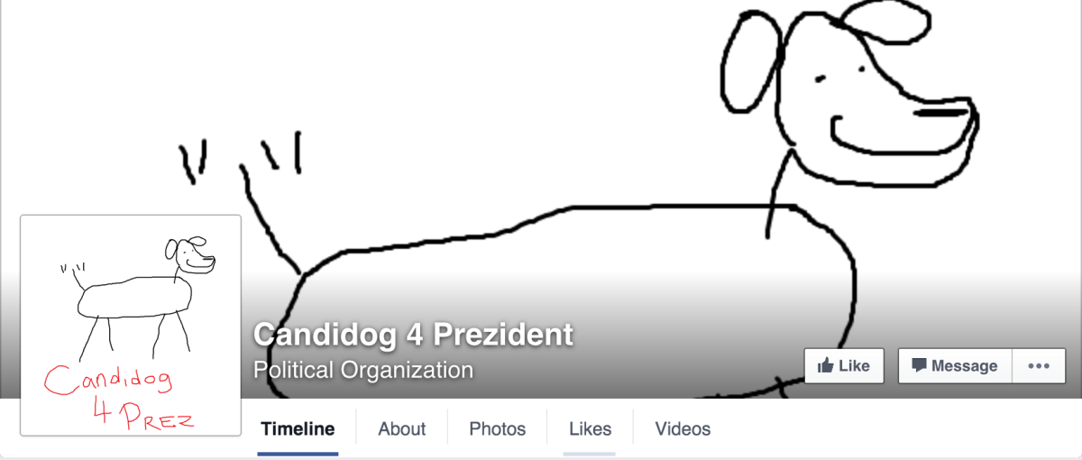 A mock campaign joined Facebook Monday. (Photo courtesy to Candidog 4 Prez)