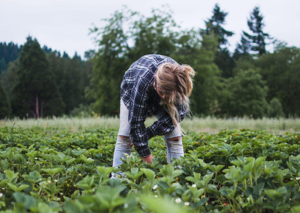 &#8220;&#8216;There&#8217;s the problem of the farmers in the pipeline,&#8221; Stephenson says. &#8220;Who&#8217;s going to step up and take over some of these farms? Because most of this transition is going to happen within multigenerational farm families.'&#8221;