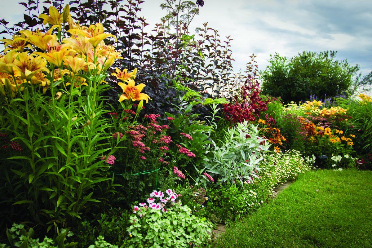 By Gretchen Henderson &#160; Growing up, I watched my mom tend to our picture-perfect garden. She refused to hire gardeners in fear of ruining her masterpiece. Gardening was her form of therapy. There was something about getting her hands deep in dirt to produce a colorful scenery that was rewarding and therapeutic. I also remember [&#8230;]