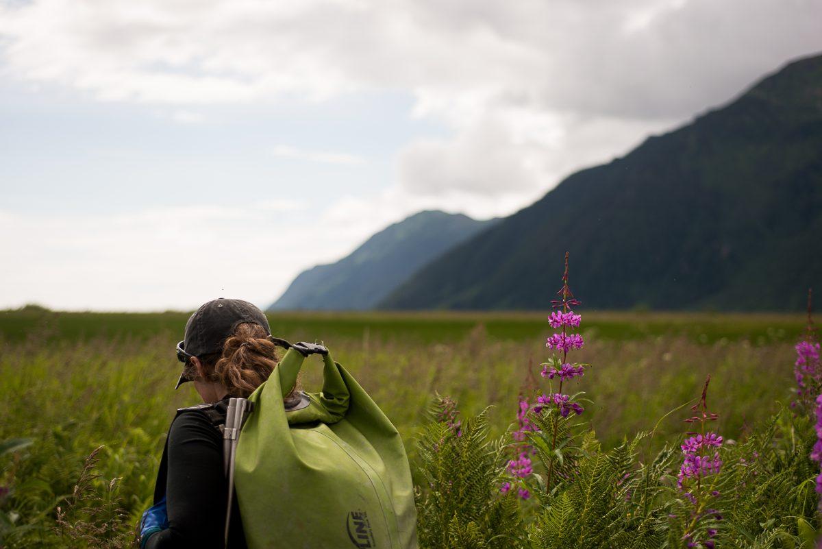 Words and Photos by KJ Hellis and Mackenzie Moran&#160; [slideshow_deploy id=&#8217;24981&#8242;] Up to my chest in frigid bog water, I cling tightly to my waders, hoping not to flood them, as I trudge through thick clay that covers the bottom of the ponds. &#8220;Where is the elodea?&#8221; I ask one [&#8230;]