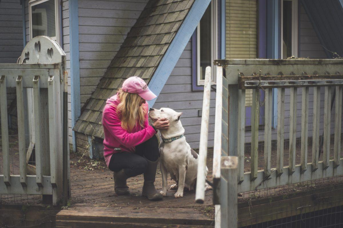 Founder and director of Luvable, Liesl Wilhardt, gives love to Billie Jean, a one-year-old rescue pitbull. Billie Jean is living with two torn ACL&#8217;s and has difficulty walking but thanks to a kickstarter campaign, Luvable raised enough money for her surgery.