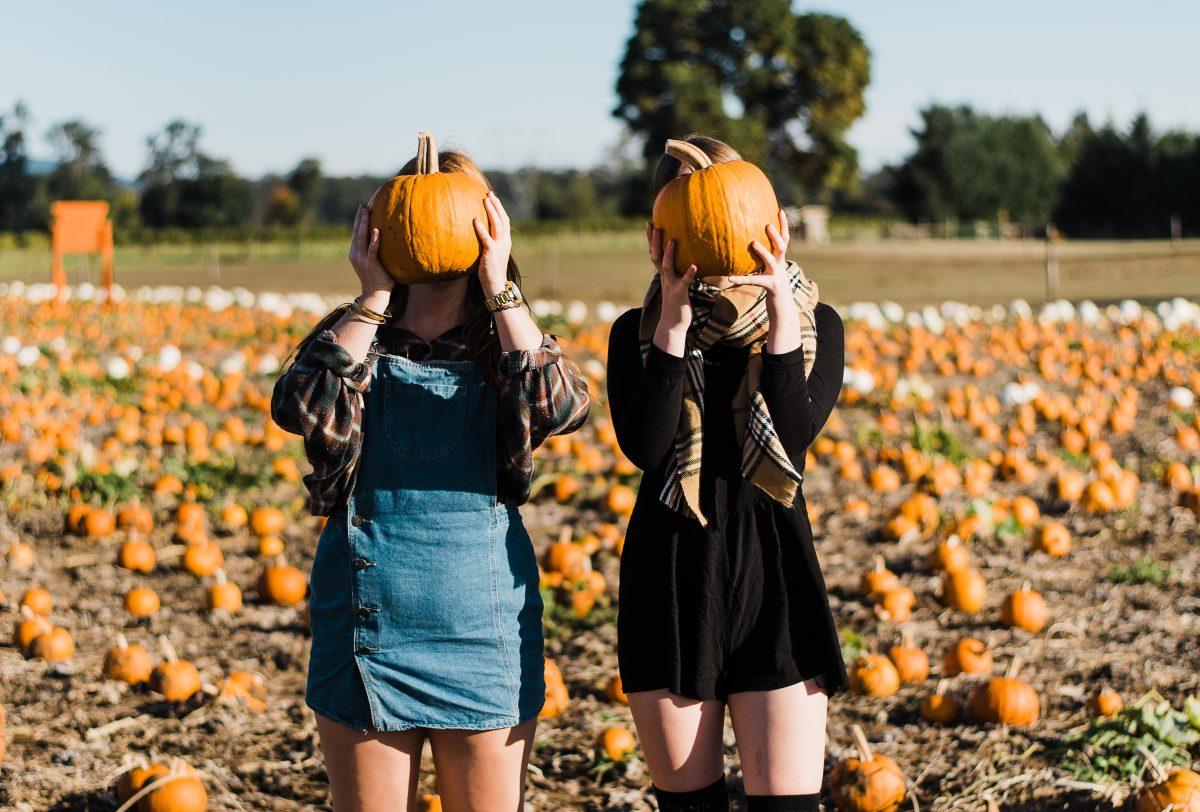 Oregon&#8217;s Top 5 Pumpkin Patches