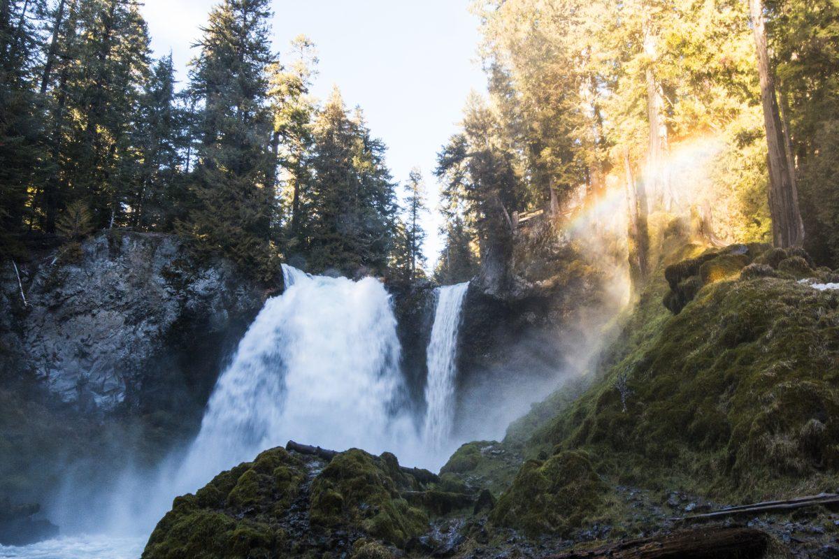 Brewing for a Cause: McKenzie River Trust