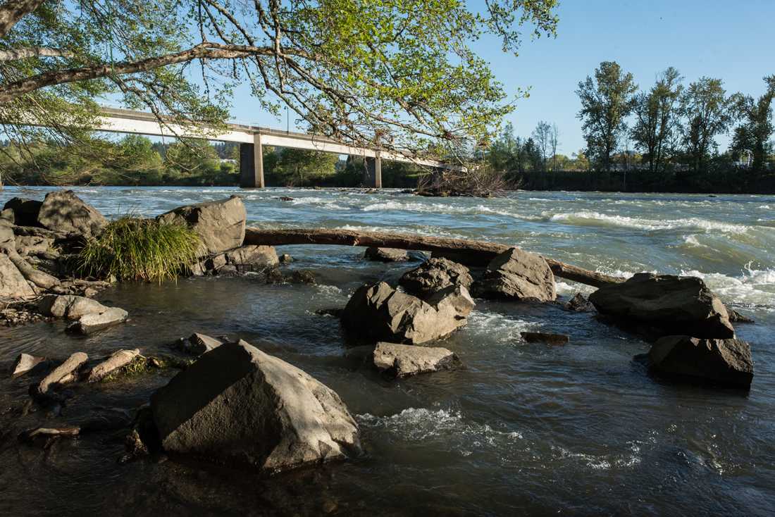 The Willamette River in Eugene, Ore. (Marissa Willke/Emerald)