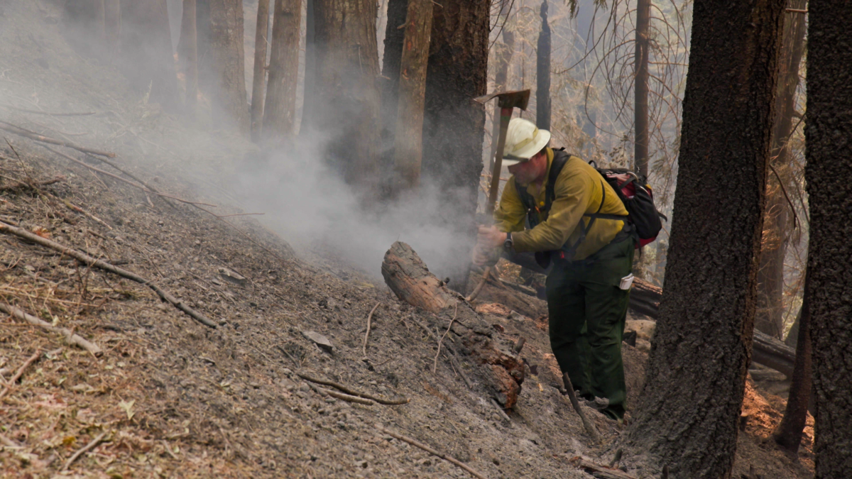 A Middle Fork Complex Fire firefighter working in the Willamette National Forest on August 12. (Marcus Ren/Emerald)