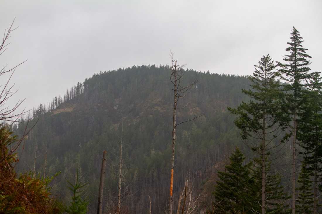 The Cascade Mountain Range goes through the Umpqua National Forest Southeast of Eugene, Oregon. Swastika Mountain is currently awaiting its new name on January 13, 2023 (Kai Kanzer/Emerald)