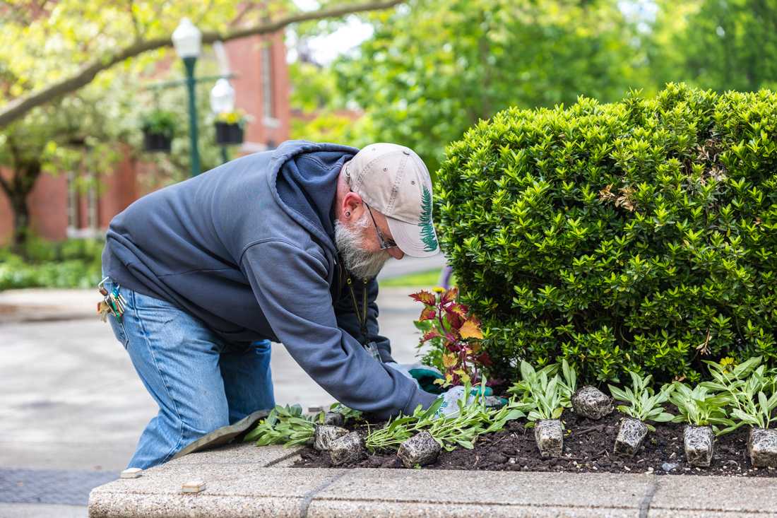 Aaron Maxwell, a groundskeeper for the university, plants flowers in a bed outside Lillis. University Day is a campus beautifying tradition that dates back to 1905. (Molly McPherson/Emerald)