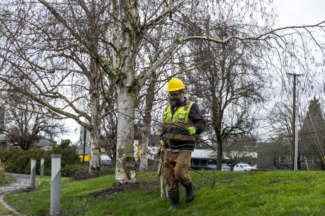 Mike McLeod, a member of the University of Oregon's Facilities Services Grounds Crew, moves downed branches into a pile across the street from Matthew Knight Arena on Jan. 23, 2024. A statewide emergency was declared by Oregon governor Tina Kotek on Jan. 18, 2024, as a winter storm brought heavy snow and ice, causing power outages, traffic crashes, knocking over trees and other weather-related issues. (Alex Hernandez/Emerald)