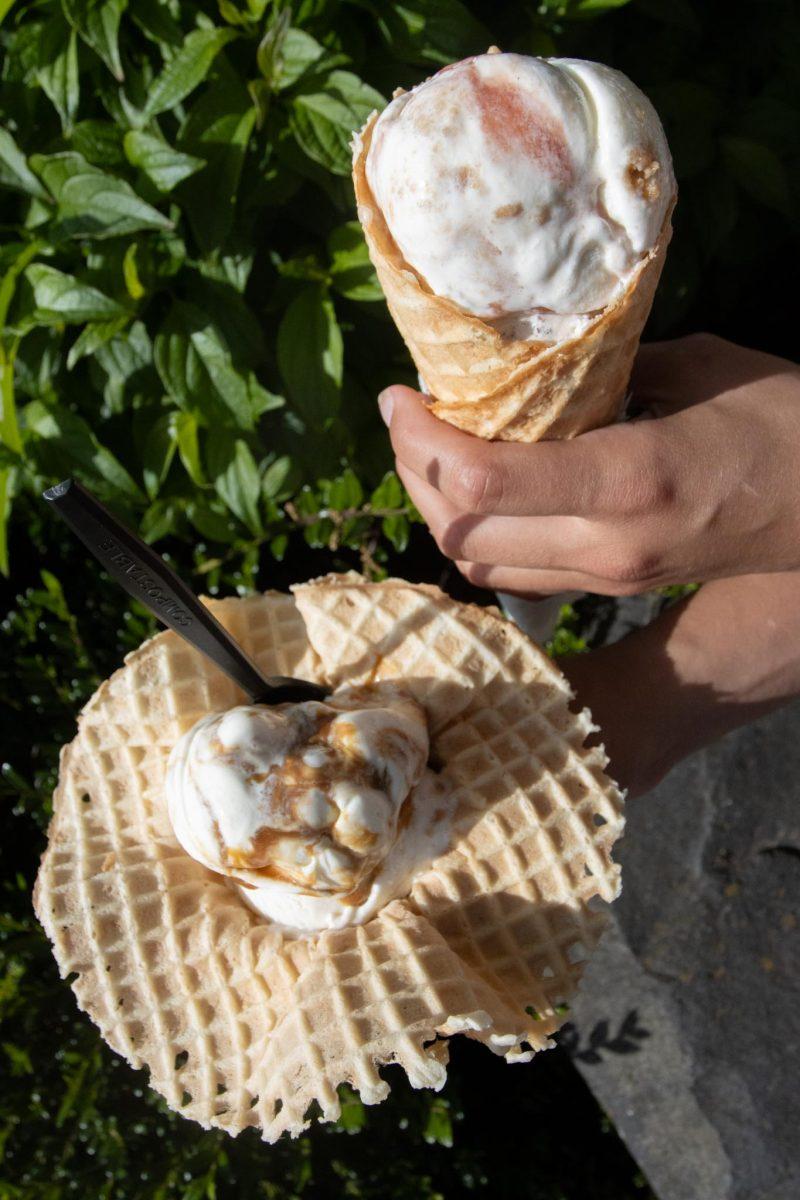 Katarina Guvernik holds two savory salt and straw cones.