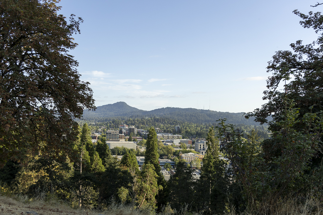 Climbing Skinner Butte reveals a view of Eugene, Ore., on August 12, 2024. (Alex Hernandez/Emerald)