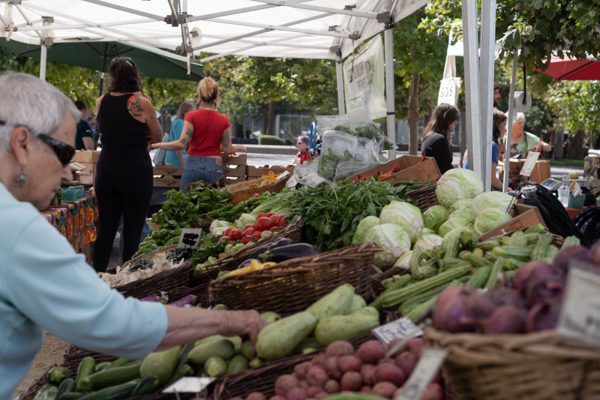 Tuesdays 9 a.m. to 2 p.m., customers and vendors descend on the Lane County Farmers Market to buy and sell anything from produce and pastries to massages and mushrooms. (Miles Cull/Emerald)