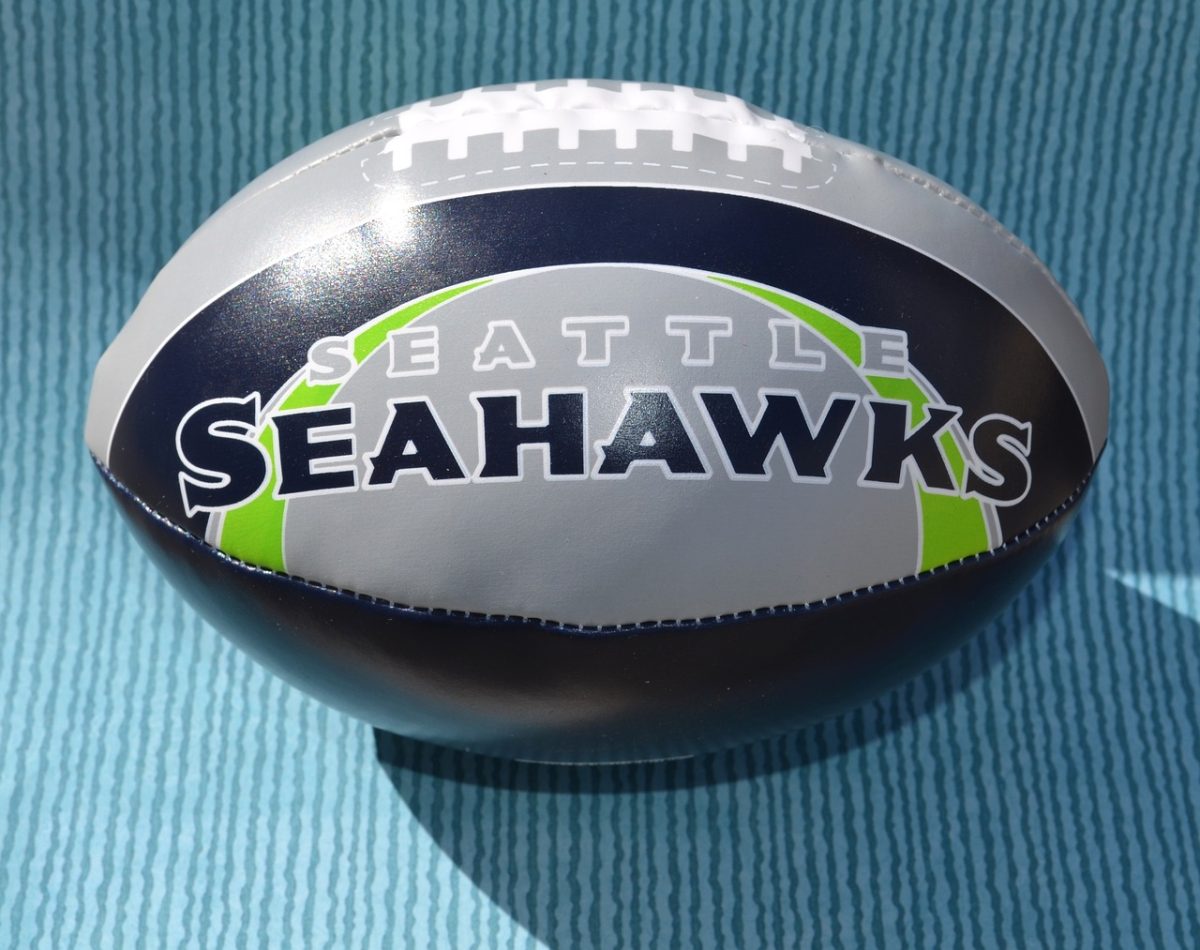 https://pixabay.com/photos/seattle-seahawks-seahawk-logo-2117139/