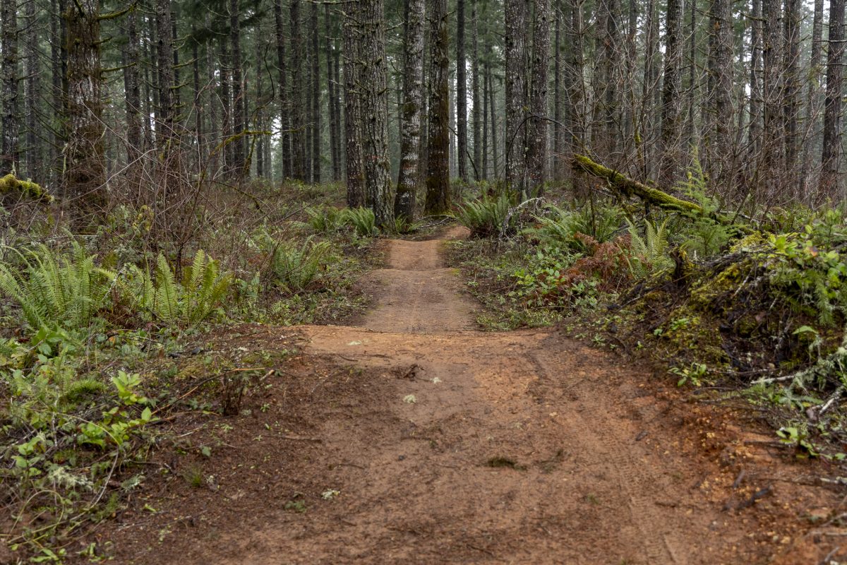 The Carpenter Bypass trail system is seen on Jan. 6, 2024. (Alex Hernandez/Emerald)