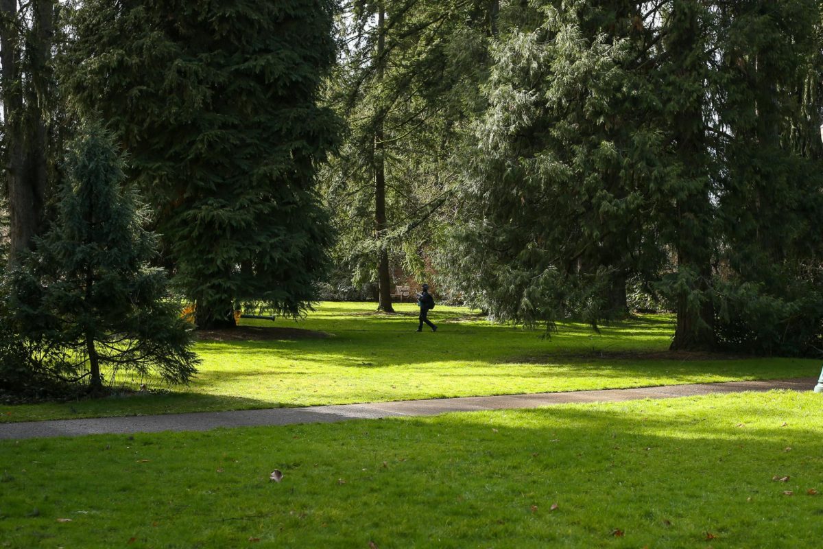 University of Oregon Students walk through forested areas on campus on Feb. 5, 2025 (Tyler Graham/Emerald)
