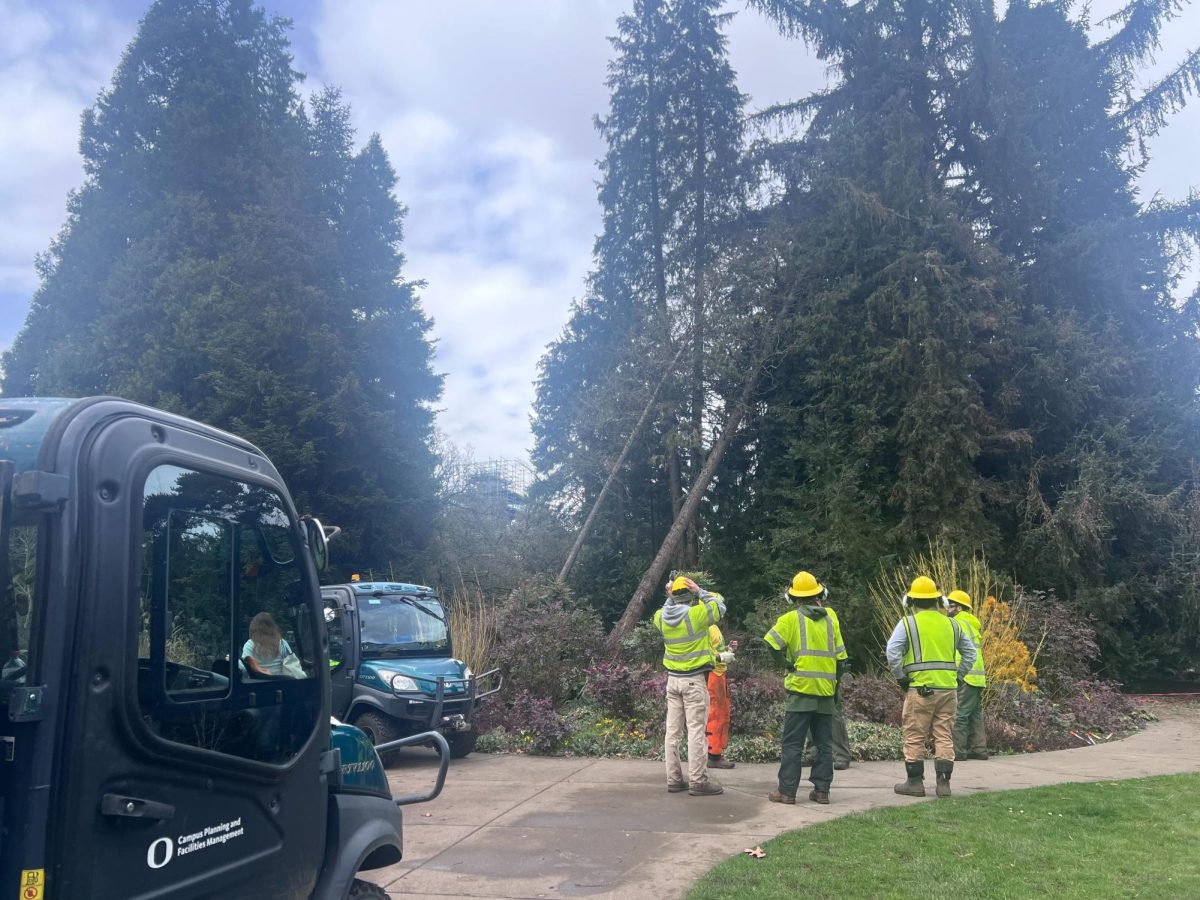 One person injured by a “downed” tree outside Friendly and Fenton Hall