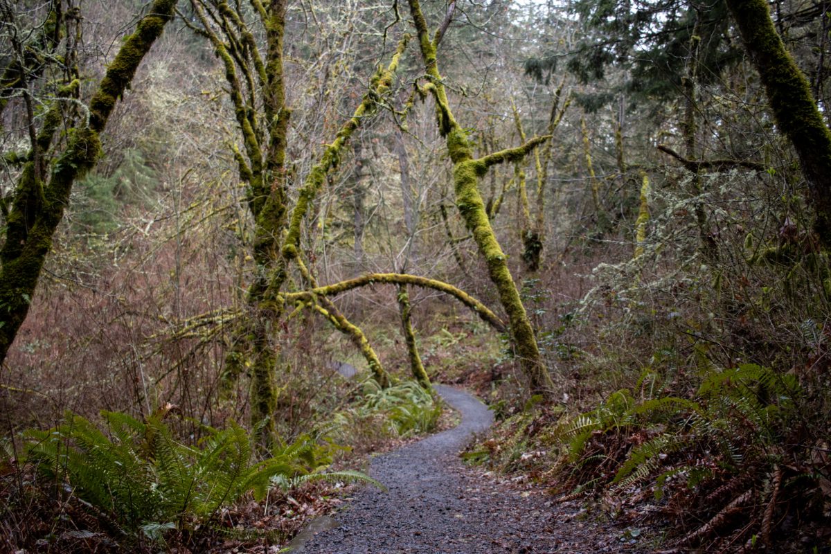 Ridgeline Trail that leads to Spencer’s Butte, Eugene, Ore. Spencer’s Butte is a popular hiking spot with a rocky summit, and is the highest point along Eugene’s ridgeline.