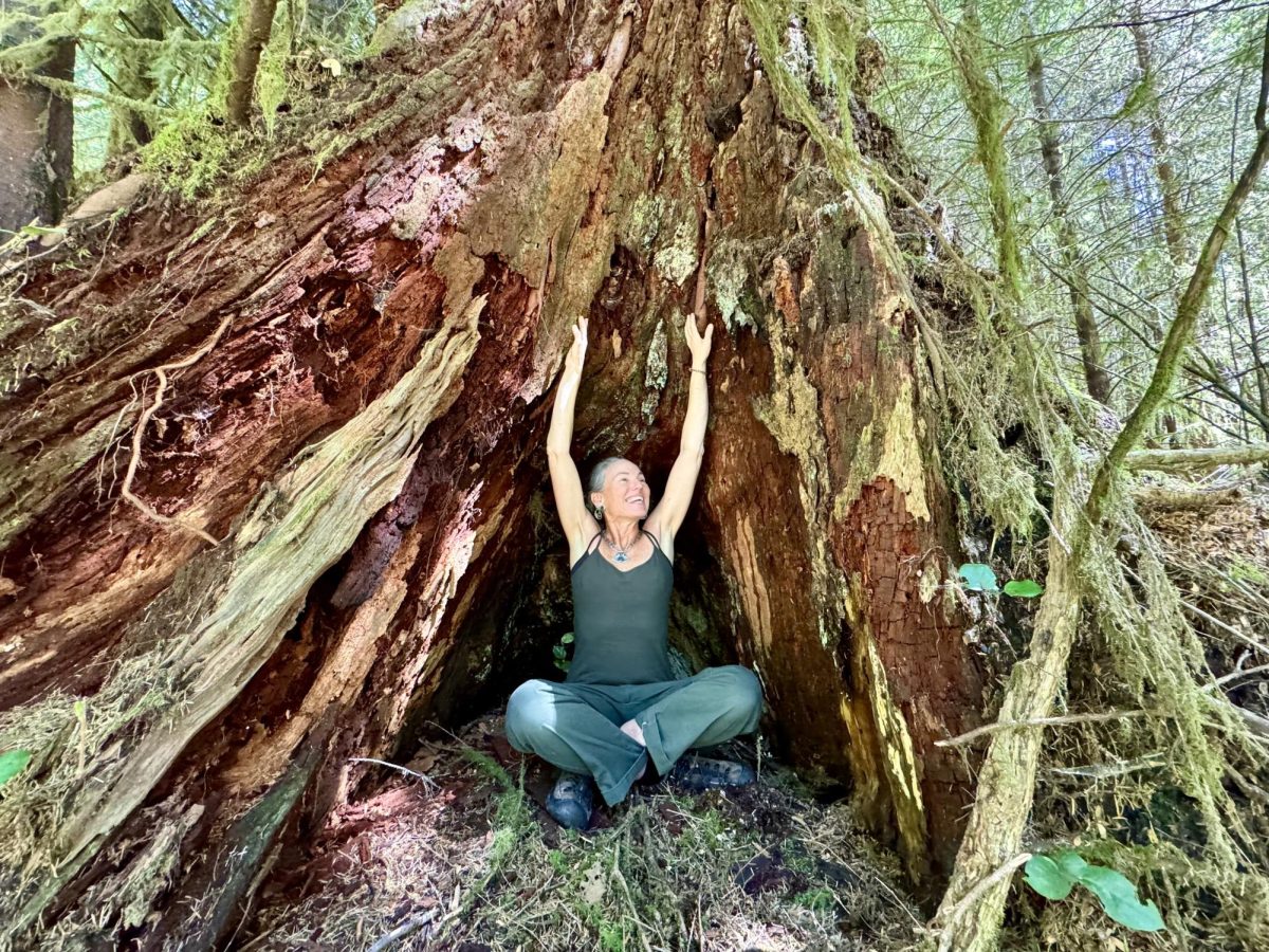 Oregon Filmmaker and Environmental Activist Willow Kasner enjoys the colossal beauty of an old-growth Siuslaw tree. Photo Courtesy: Willow Kasner