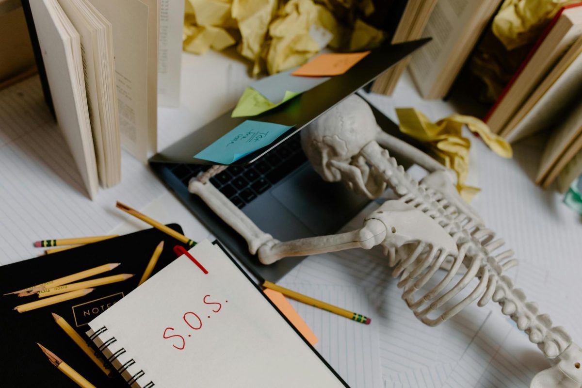 https://www.pexels.com/photo/a-skeleton-leaning-on-a-laptop-8386709/