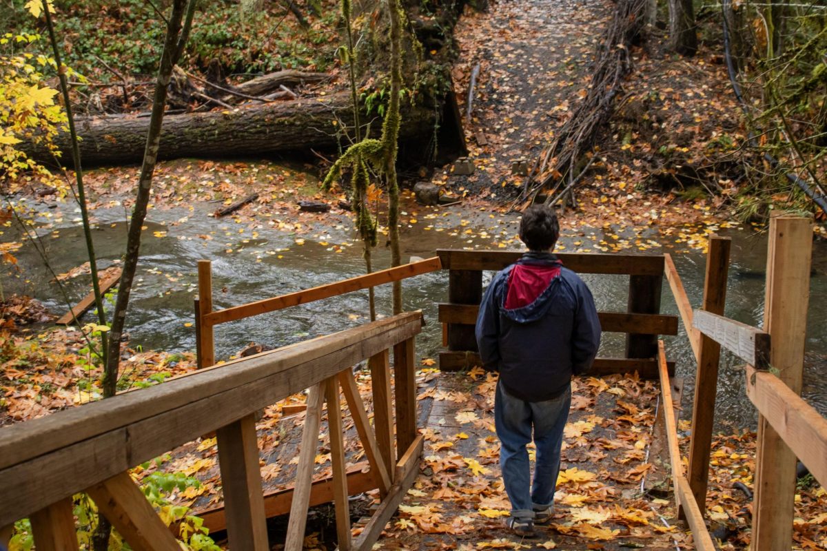 The Sustainability Dilemma at the Heart of Community Living