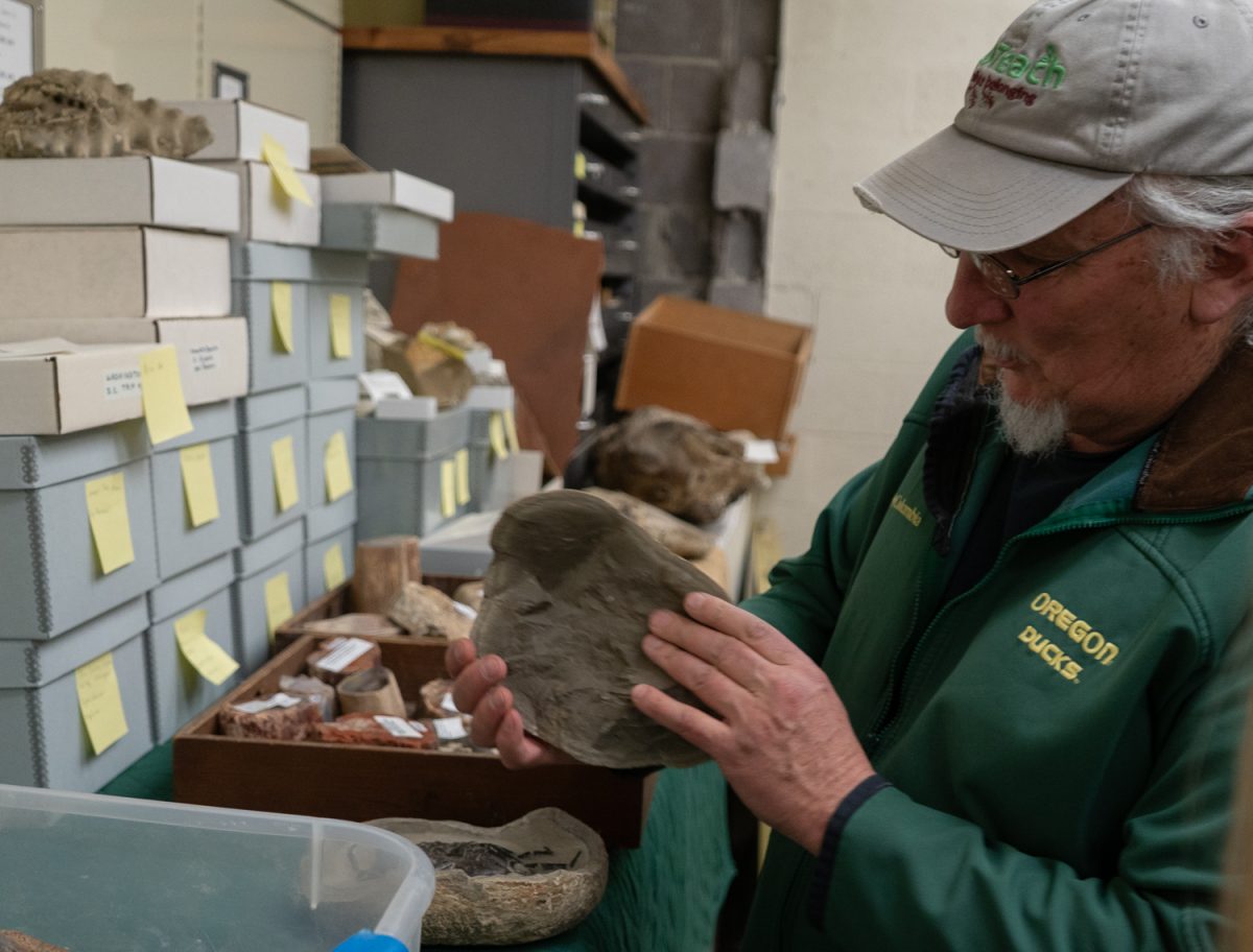 Volunteer Barry Hughes, shows off a preserved rock. On March 3, 2026, Barry Hughes, a retired Condon Fossil Collection volunteer and Hailey Rauch, the collection assistant showed and explained the paleontological materials and what it means to be a state repository. Located under University of Oregon's campus buildings Pacific Hall and Columbia Hall, UO’S MNCH State’s repository for cultural &amp; paleontological materials exhibit stands. (Katie Poluyansky/Emerald)