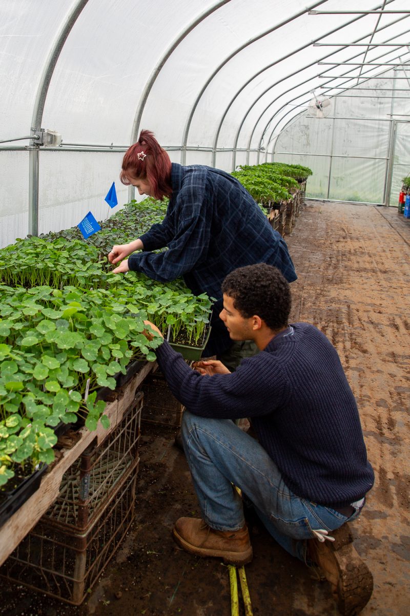 Riley Doty (left) and Jason Chaney (right) label plants at the new Youth Farm location near the Mount Pisgah Arboretum in Springfield, Ore. on March 31, 2026.(Corey Hoffman/Emerald)