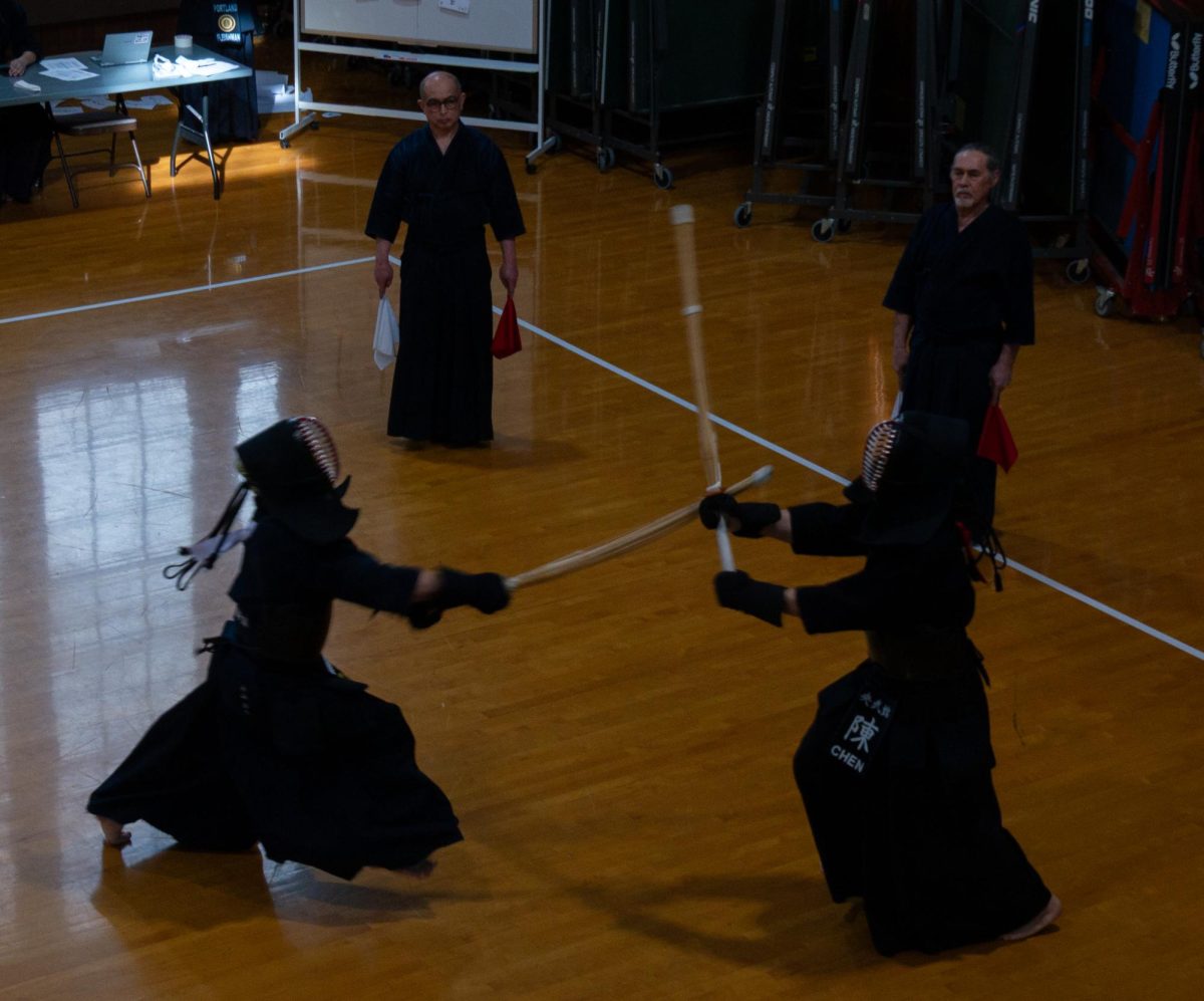 Learning cross-culturally with sword